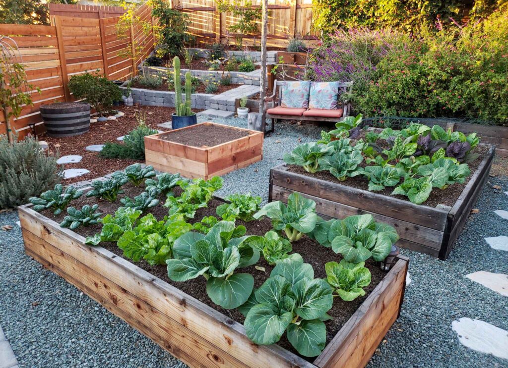 Garden beds