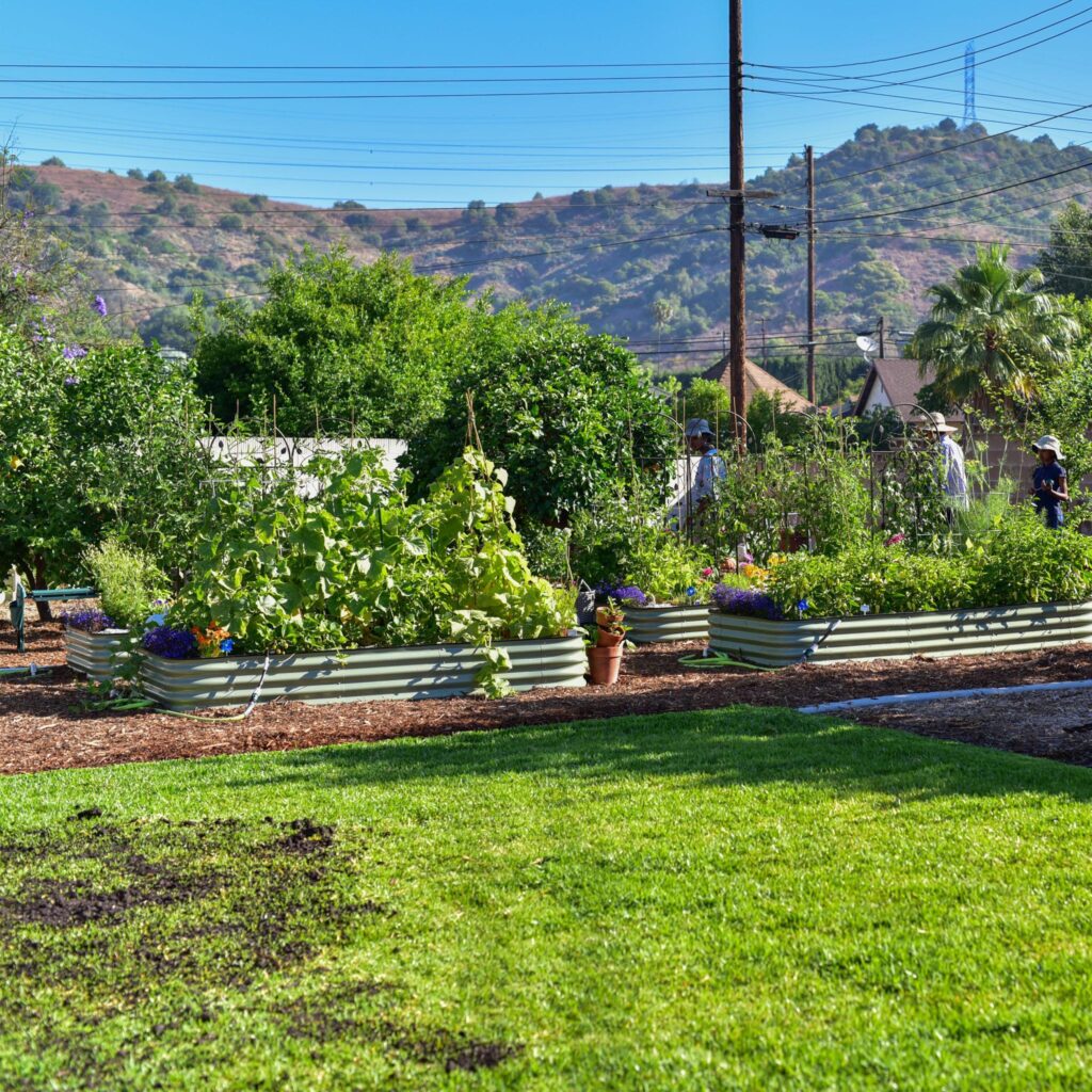 Background Self-Sufficient Backyard