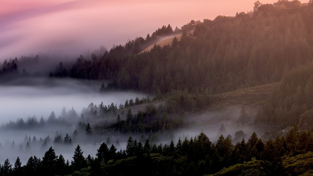brain fog
